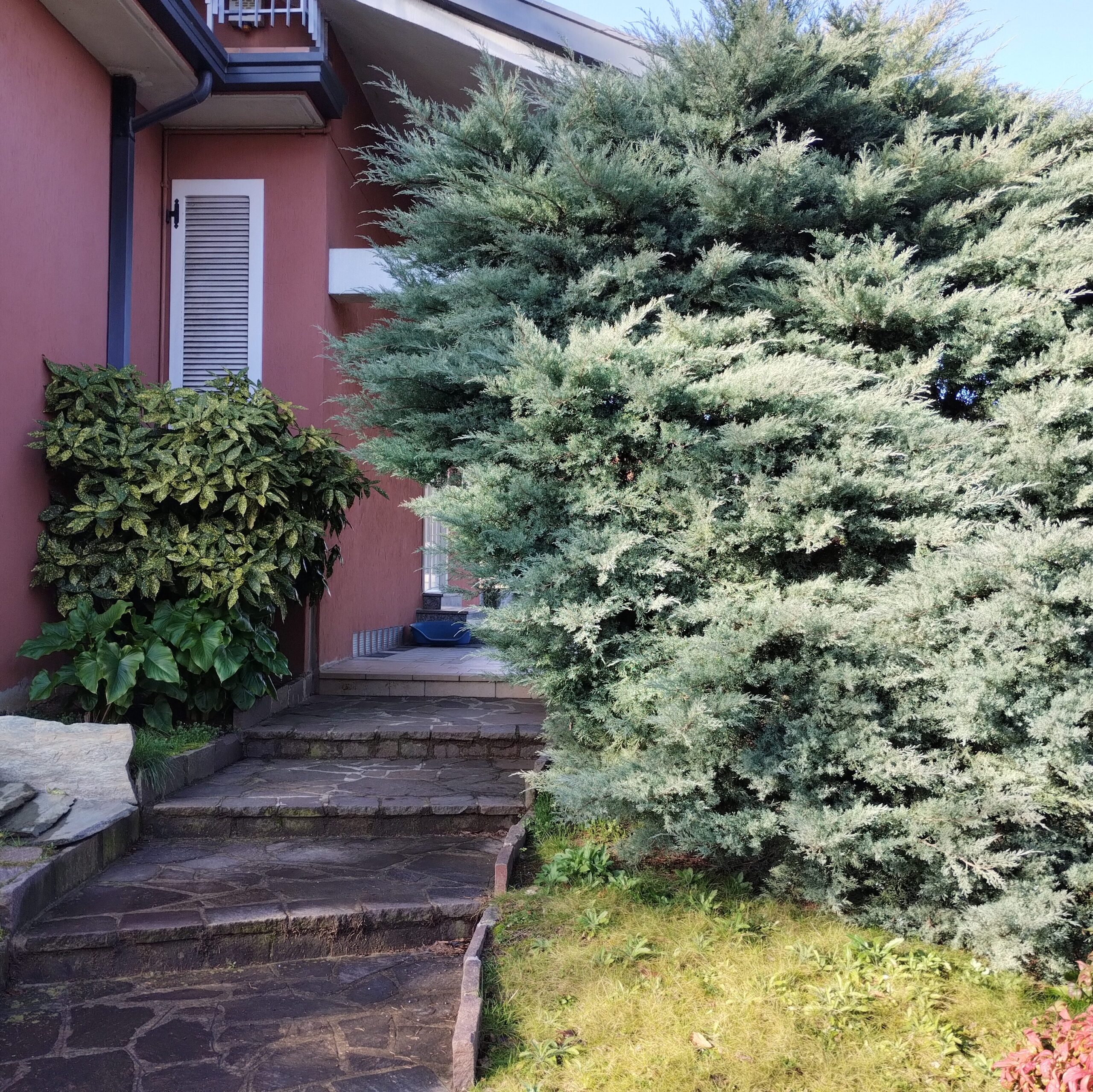 Affittacamere Casa Ginepro Lomagna Lecco
